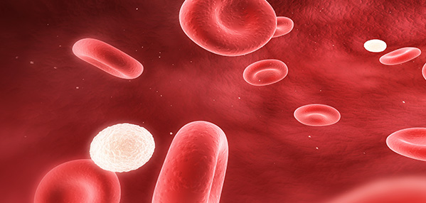 Ag亚洲集团(中国区)官方网站