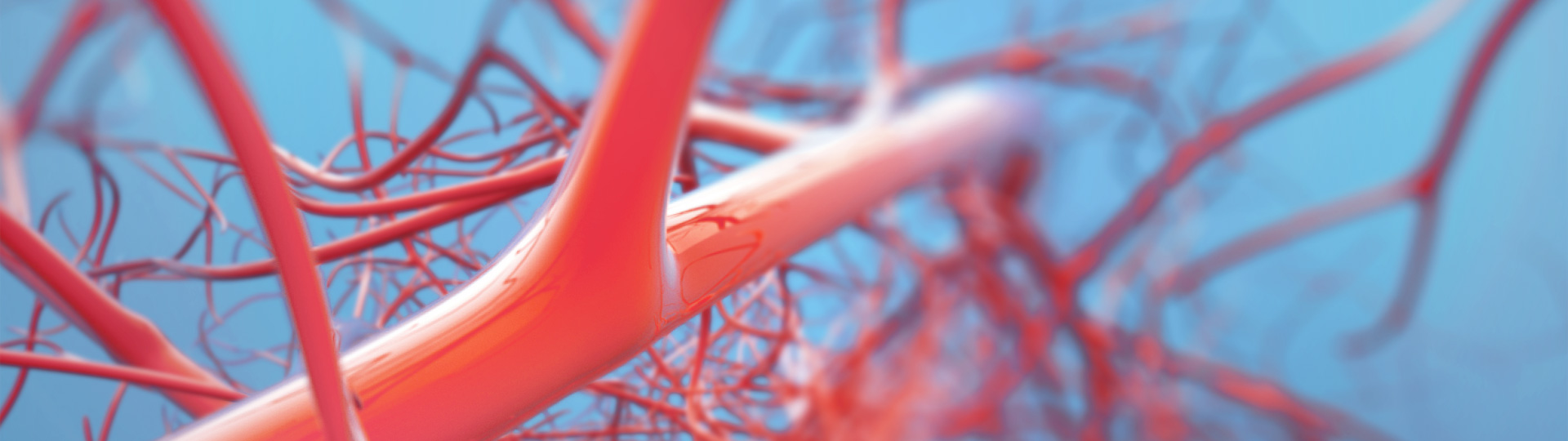 Ag亚洲集团(中国区)官方网站