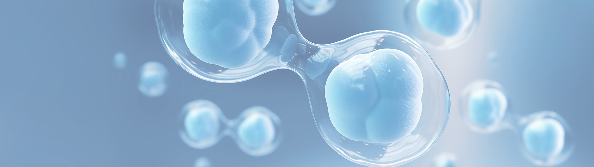 Ag亚洲集团(中国区)官方网站