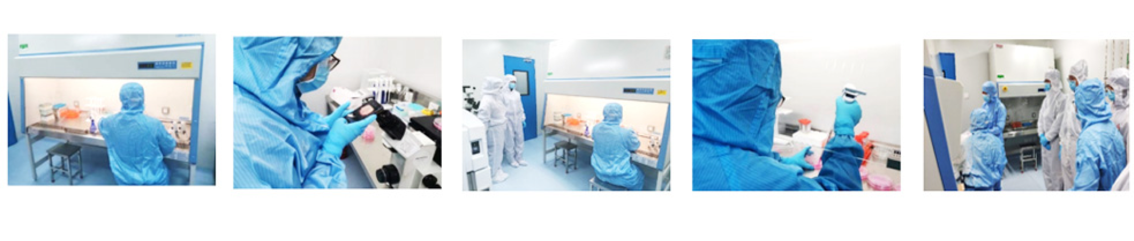 Ag亚洲集团(中国区)官方网站