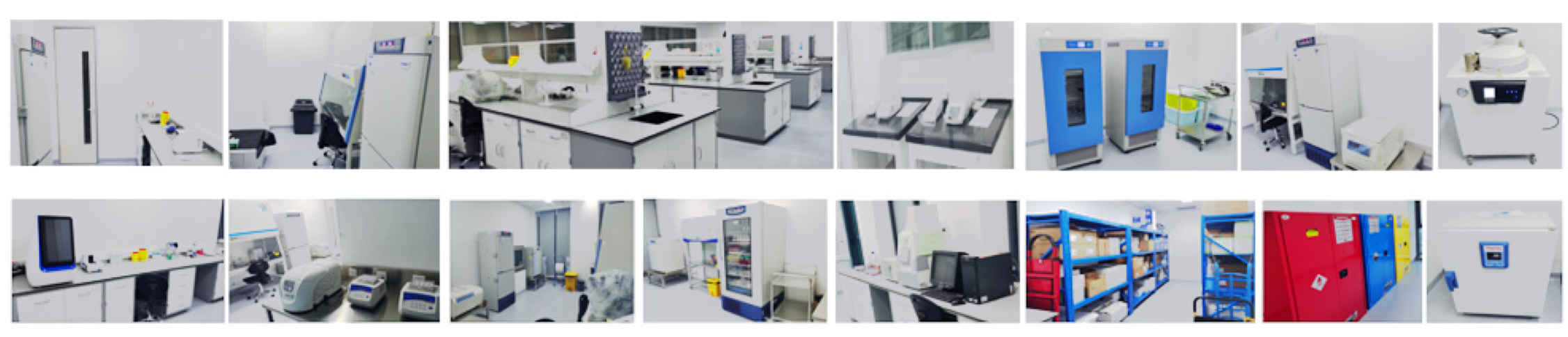 Ag亚洲集团(中国区)官方网站