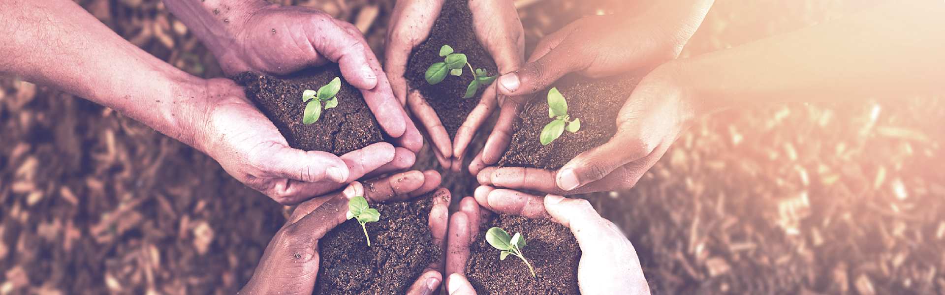 Ag亚洲集团(中国区)官方网站